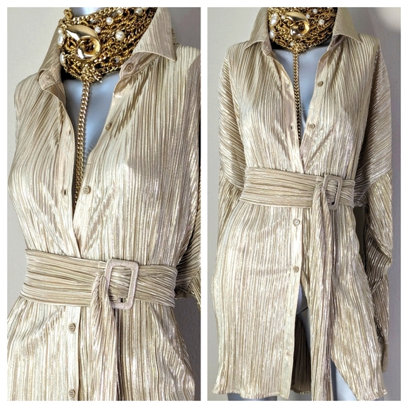 Golden Champagne Shimmery Accordion Pleated Belted Earth Girl "BOHO" Shirt Dress - Picture 4 of 12
